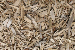 biomass boilers Alstone